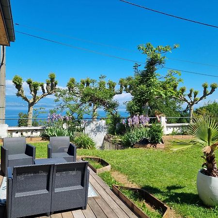 Appartement Cozy 1 Panoramique Lac Leman تونو لي با المظهر الخارجي الصورة